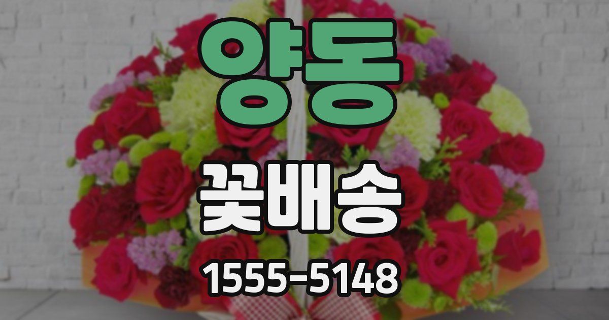 양동 꽃배송