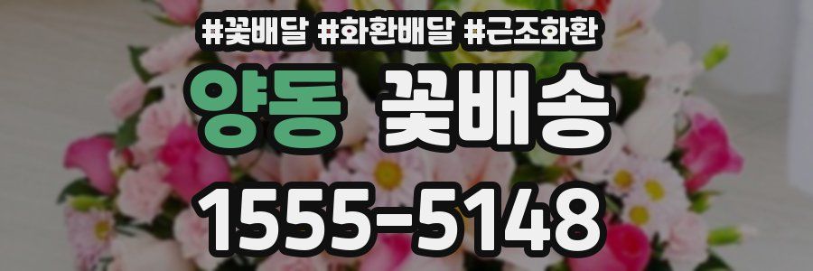 양동 꽃배송