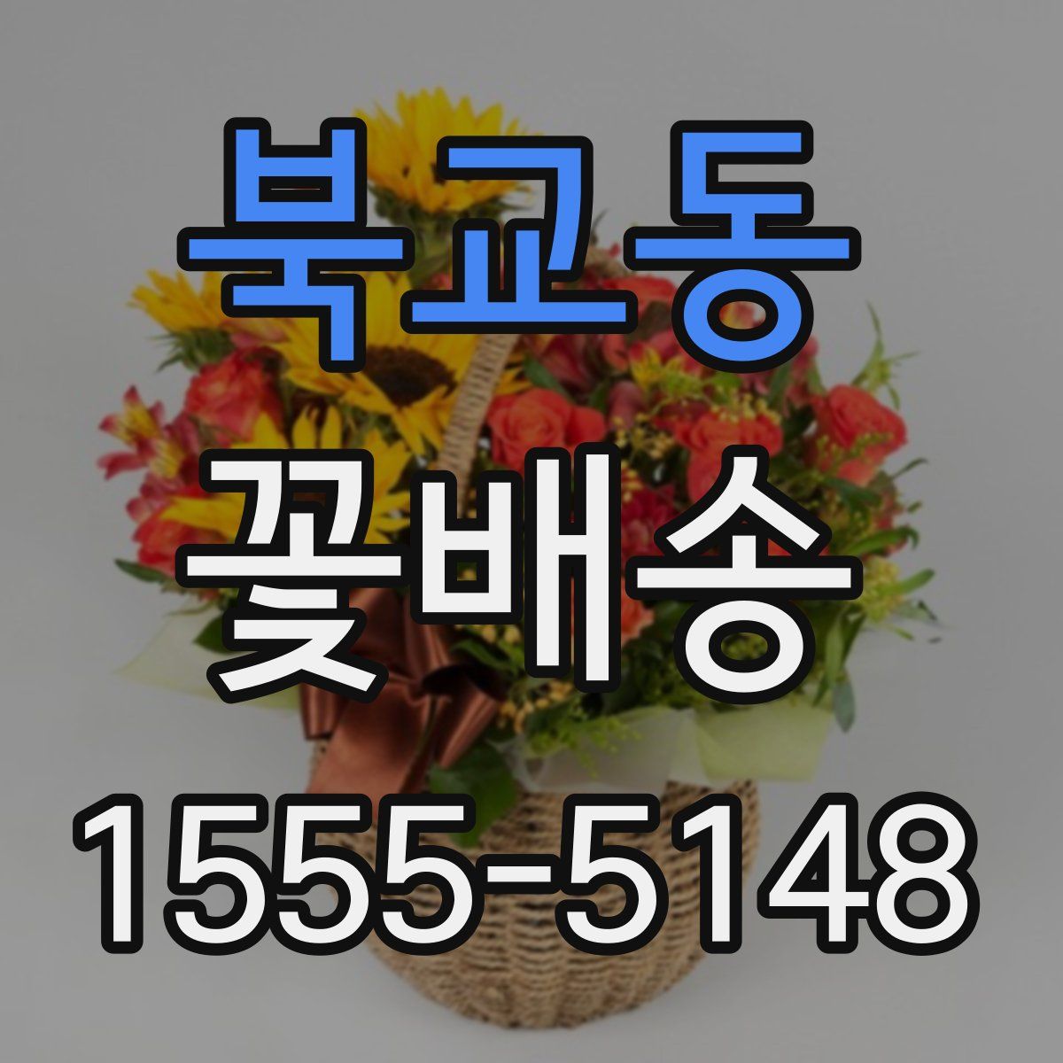 북교동 꽃배송