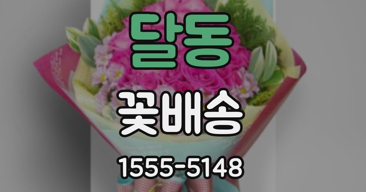 달동 꽃배송