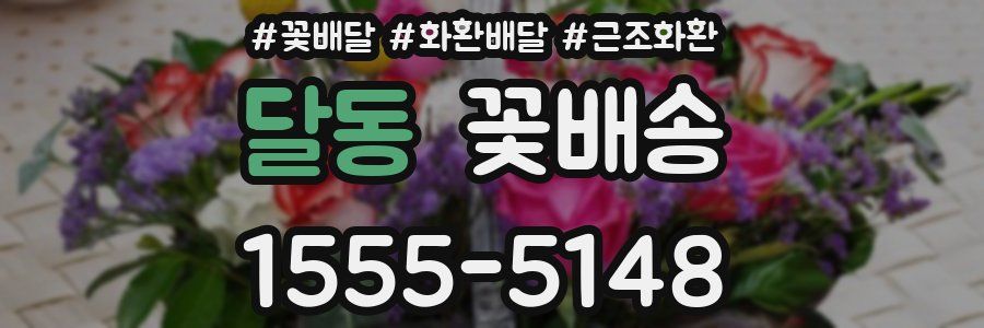 달동 꽃배송