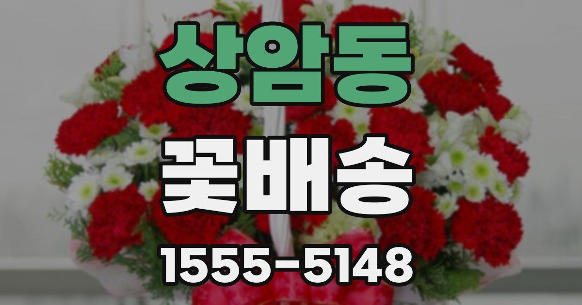 상암동 꽃배송