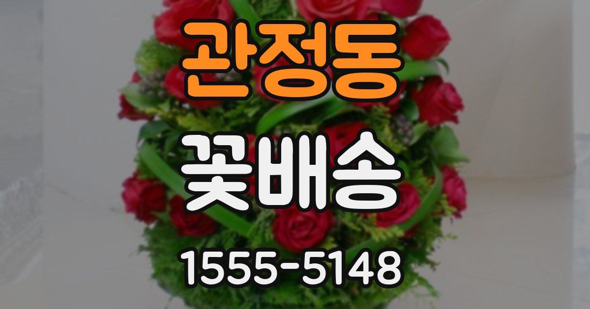 관정동 꽃배송
