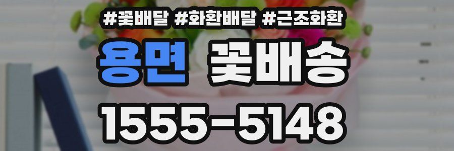 용면 꽃배송
