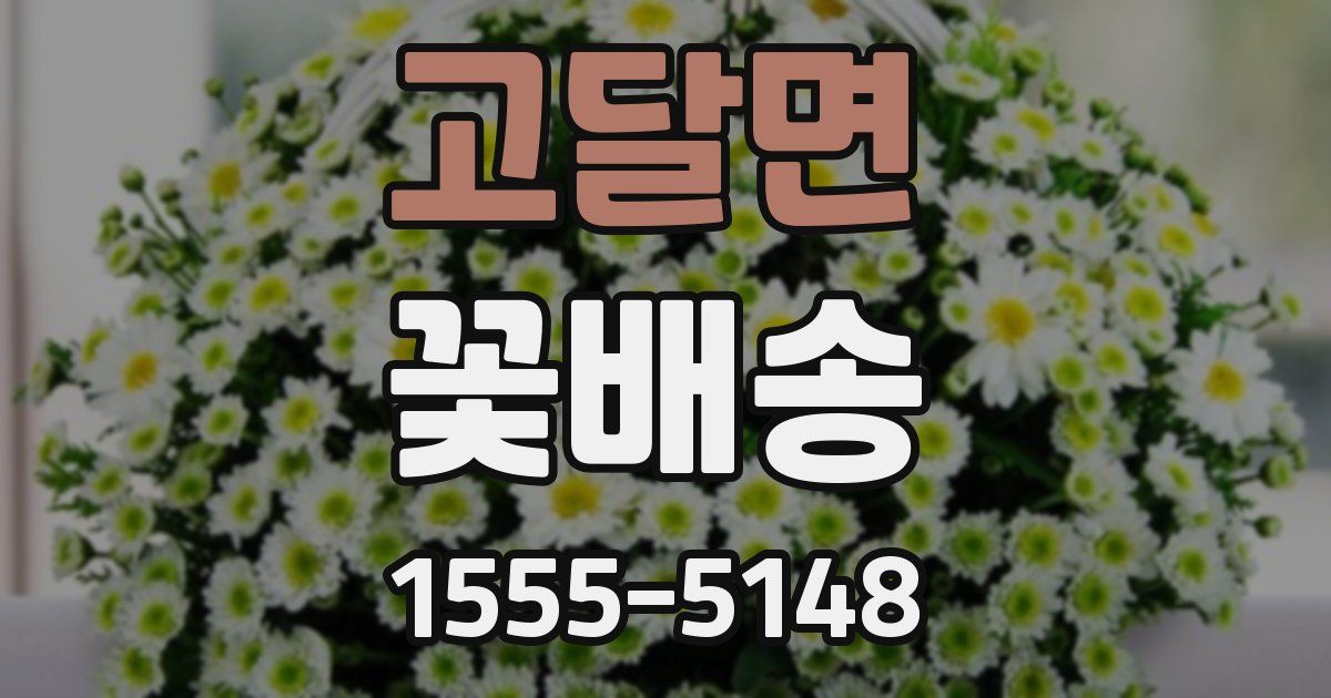 고달면 꽃배송