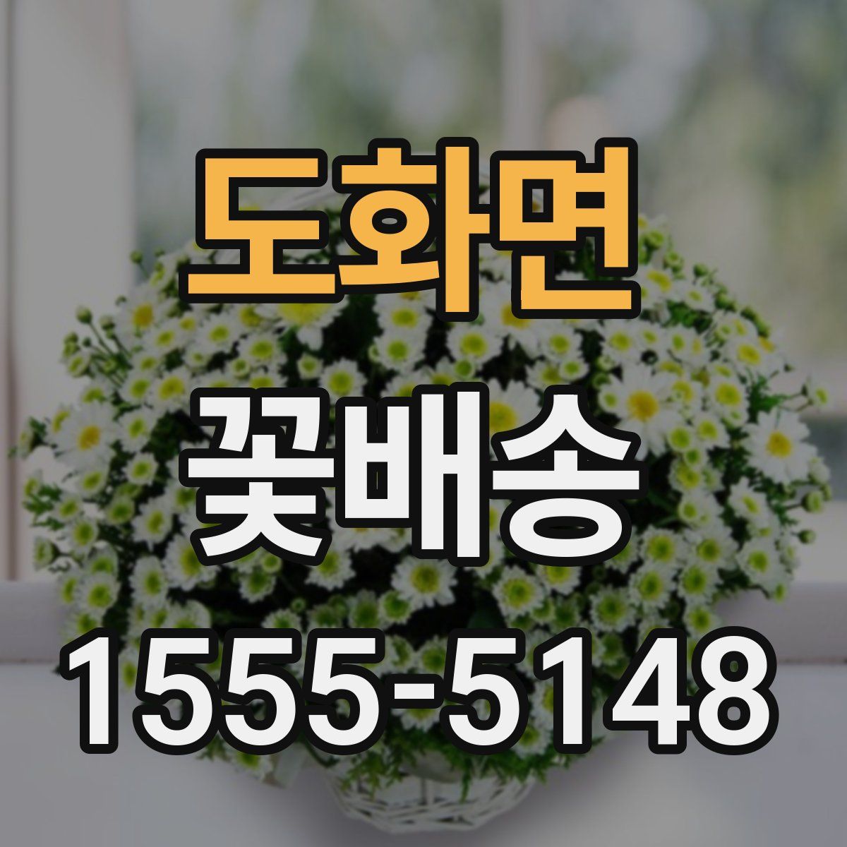 도화면 꽃배송