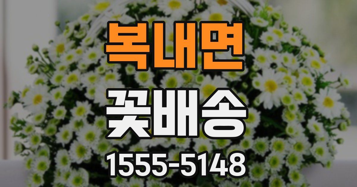복내면 꽃배송