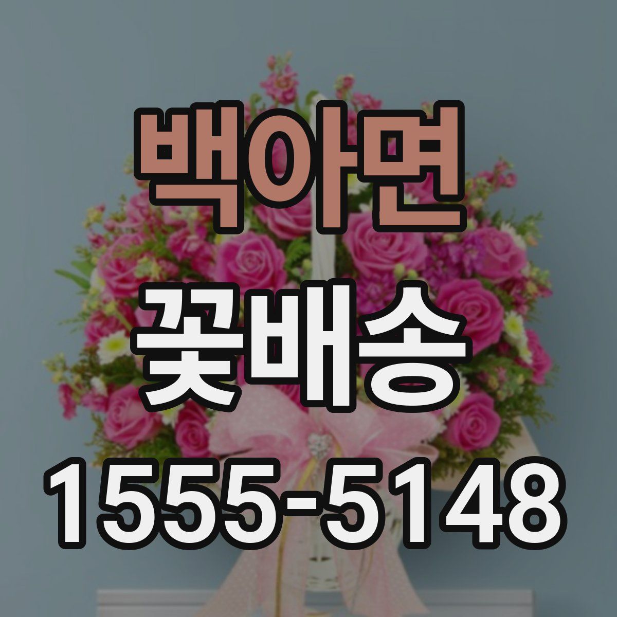 백아면 꽃배송