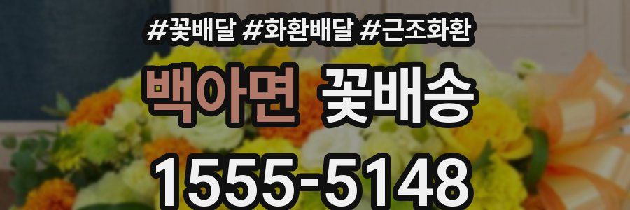 백아면 꽃배송