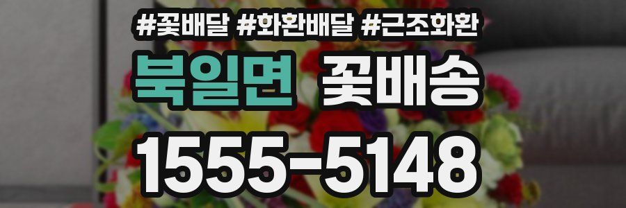 북일면 꽃배송