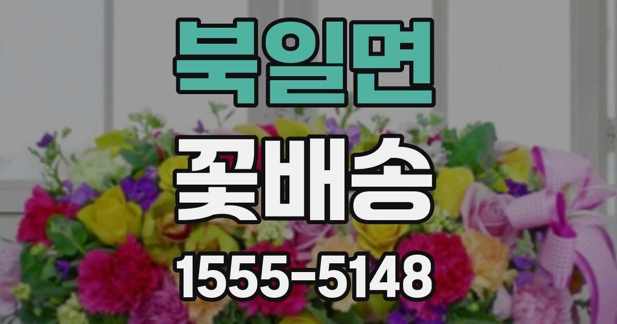 북일면 꽃배송