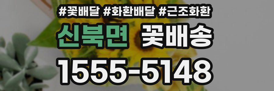 신북면 꽃배송