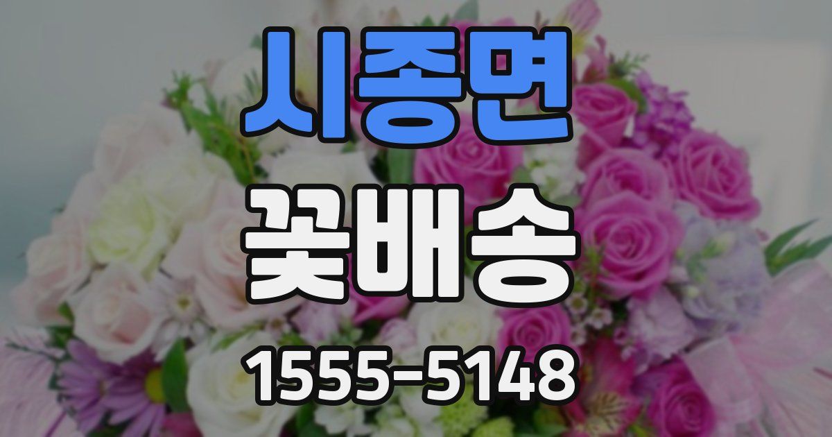 시종면 꽃배송