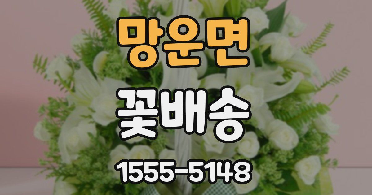 망운면 꽃배송