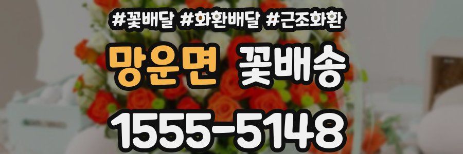 망운면 꽃배송