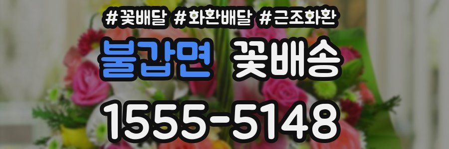 불갑면 꽃배송