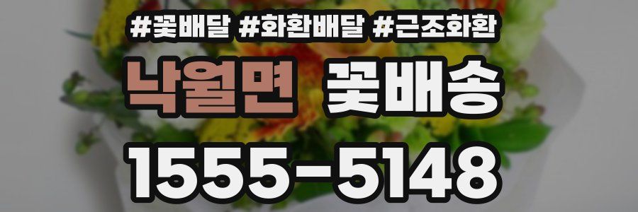 낙월면 꽃배송