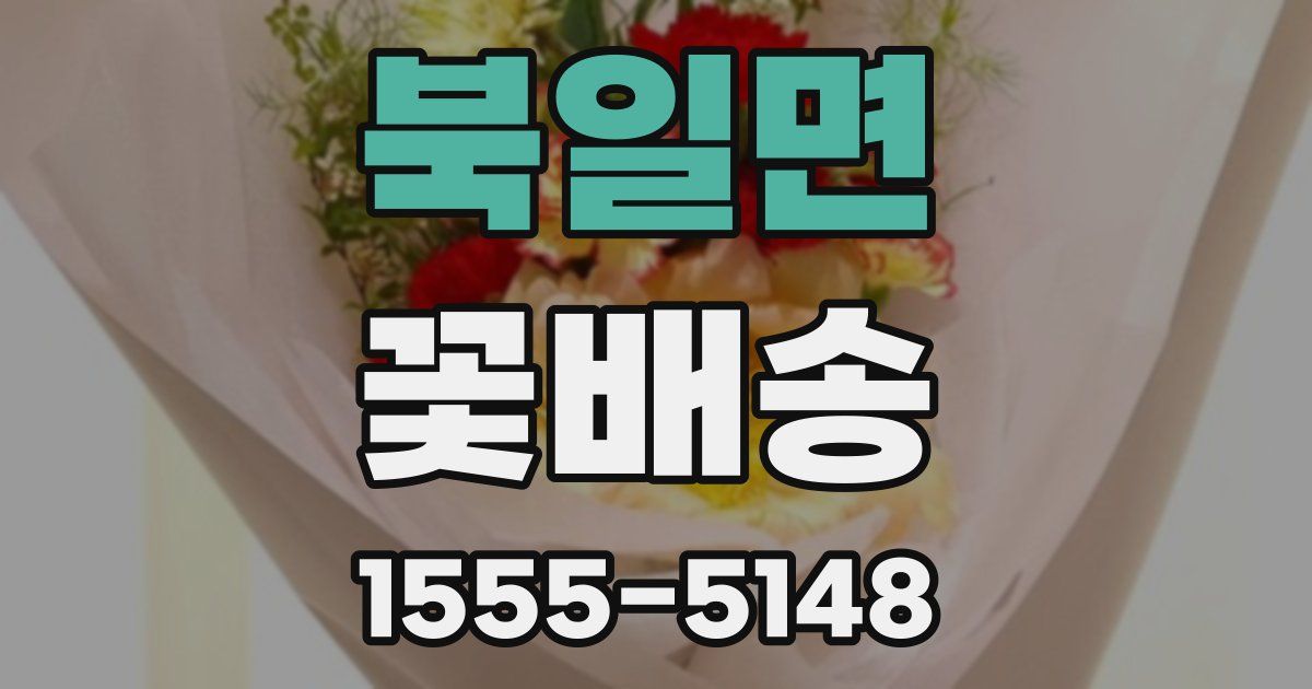 북일면 꽃배송