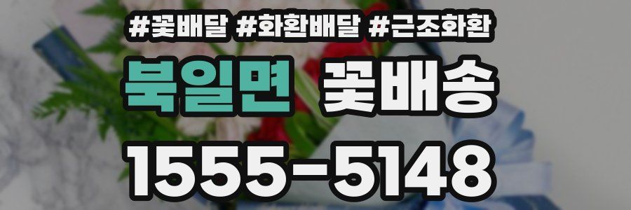 북일면 꽃배송