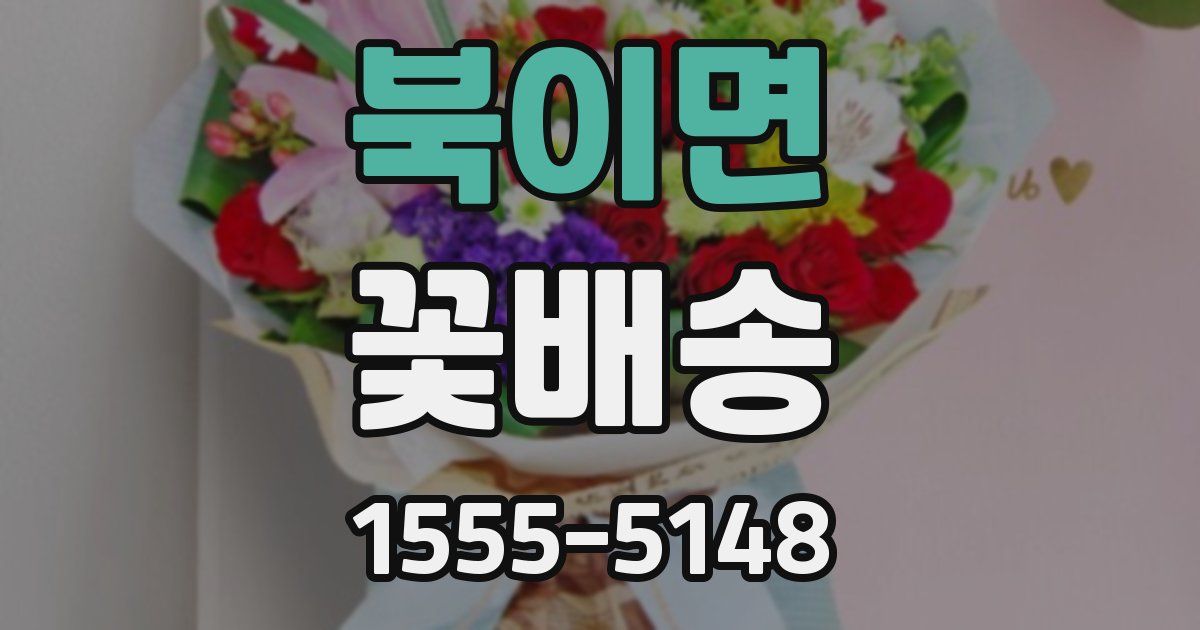 북이면 꽃배송
