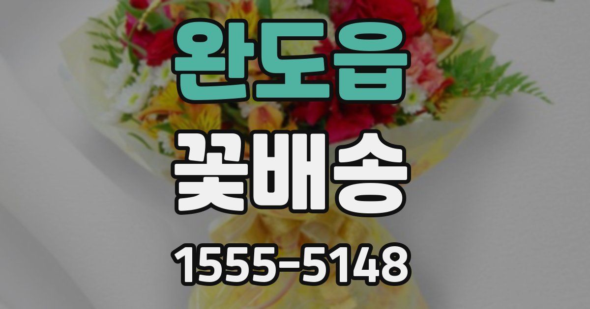 완도읍 꽃배송