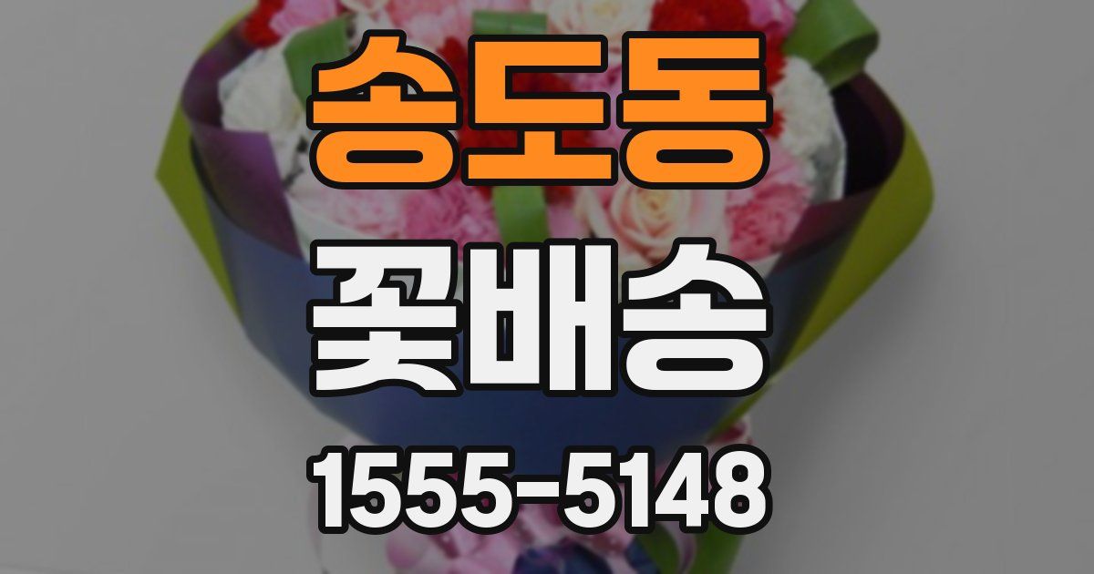 송도동 꽃배송