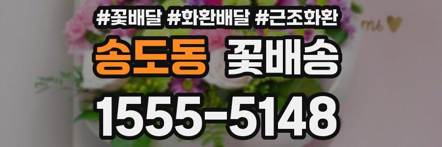 송도동 꽃배송