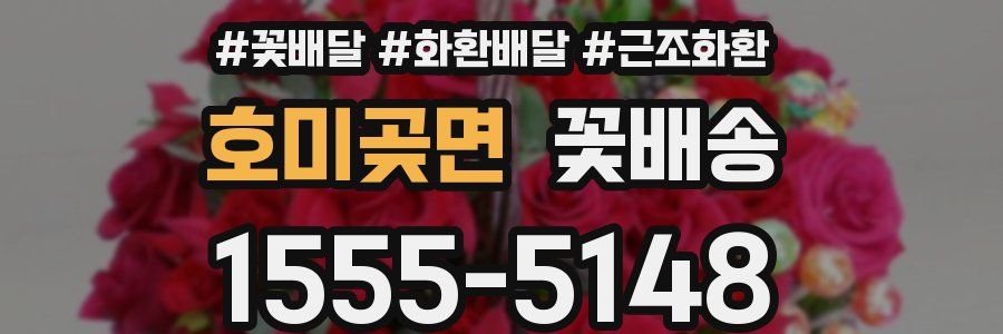호미곶면 꽃배송