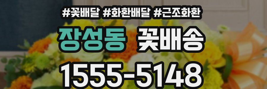 장성동 꽃배송