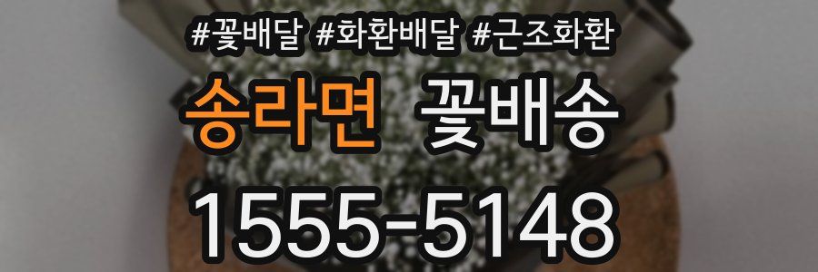 송라면 꽃배송