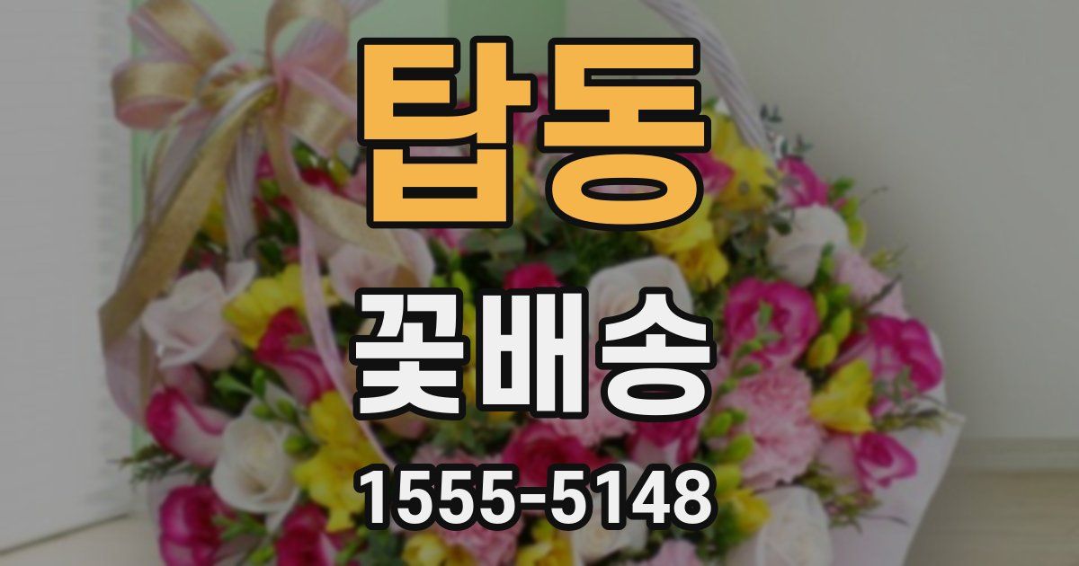 탑동 꽃배송