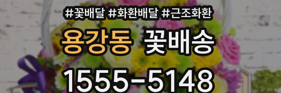용강동 꽃배송