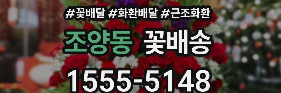 조양동 꽃배송
