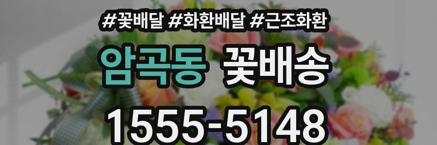 암곡동 꽃배송