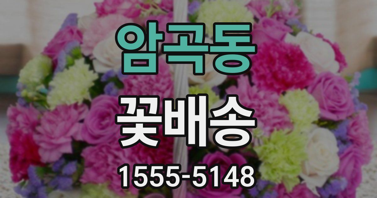 암곡동 꽃배송