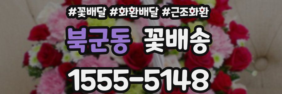 북군동 꽃배송