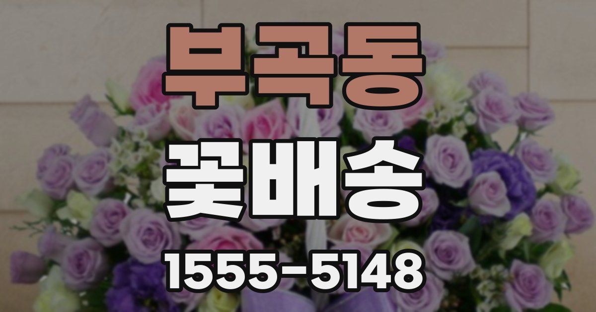 부곡동 꽃배송