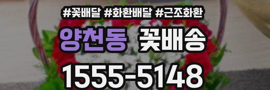 양천동 꽃배송