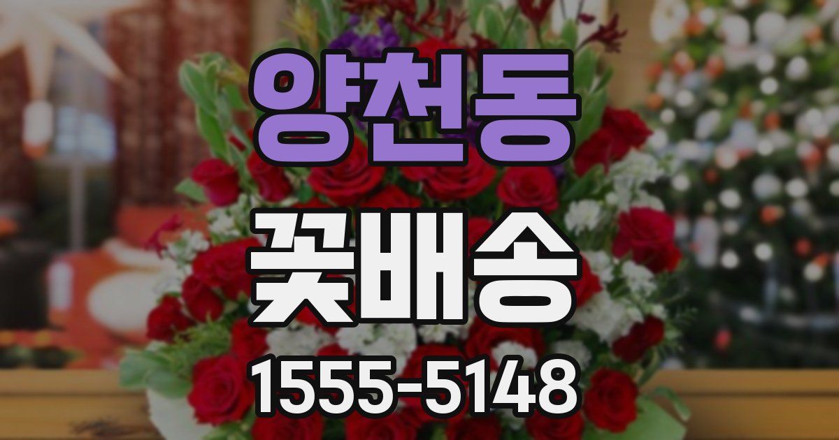 양천동 꽃배송