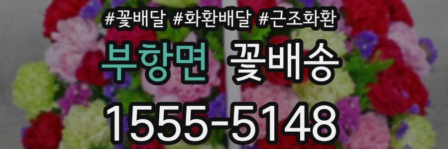 부항면 꽃배송