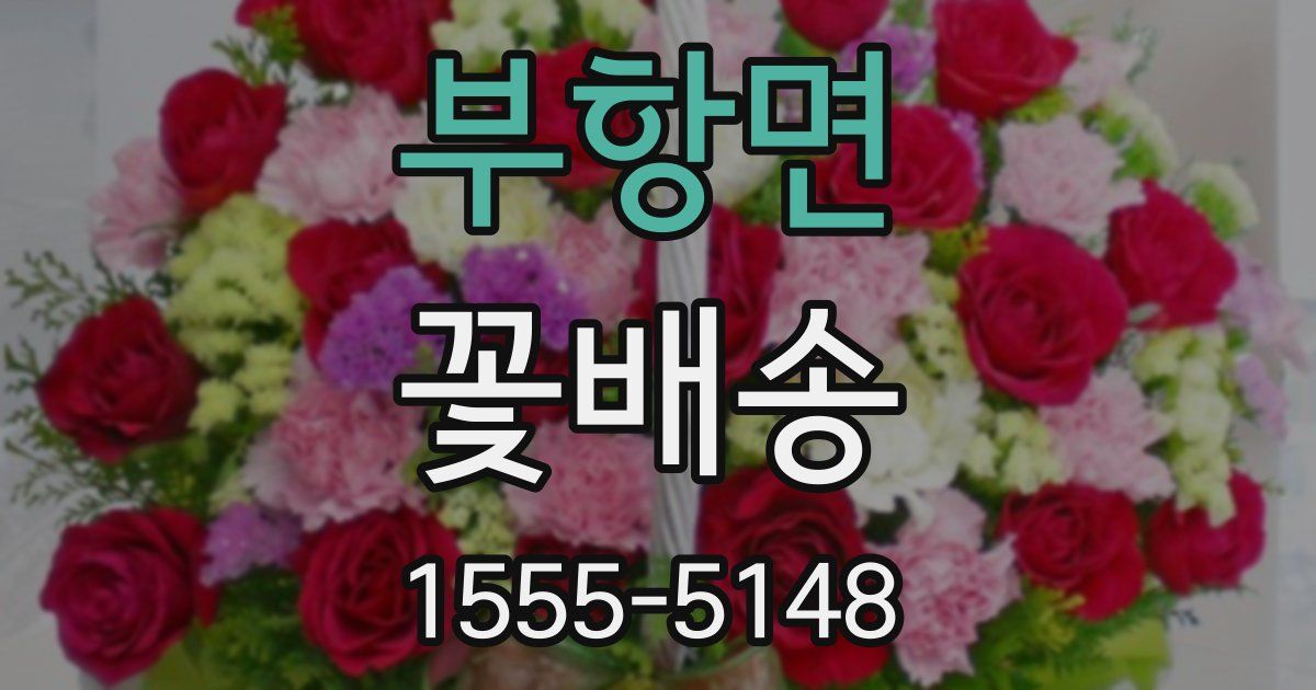부항면 꽃배송