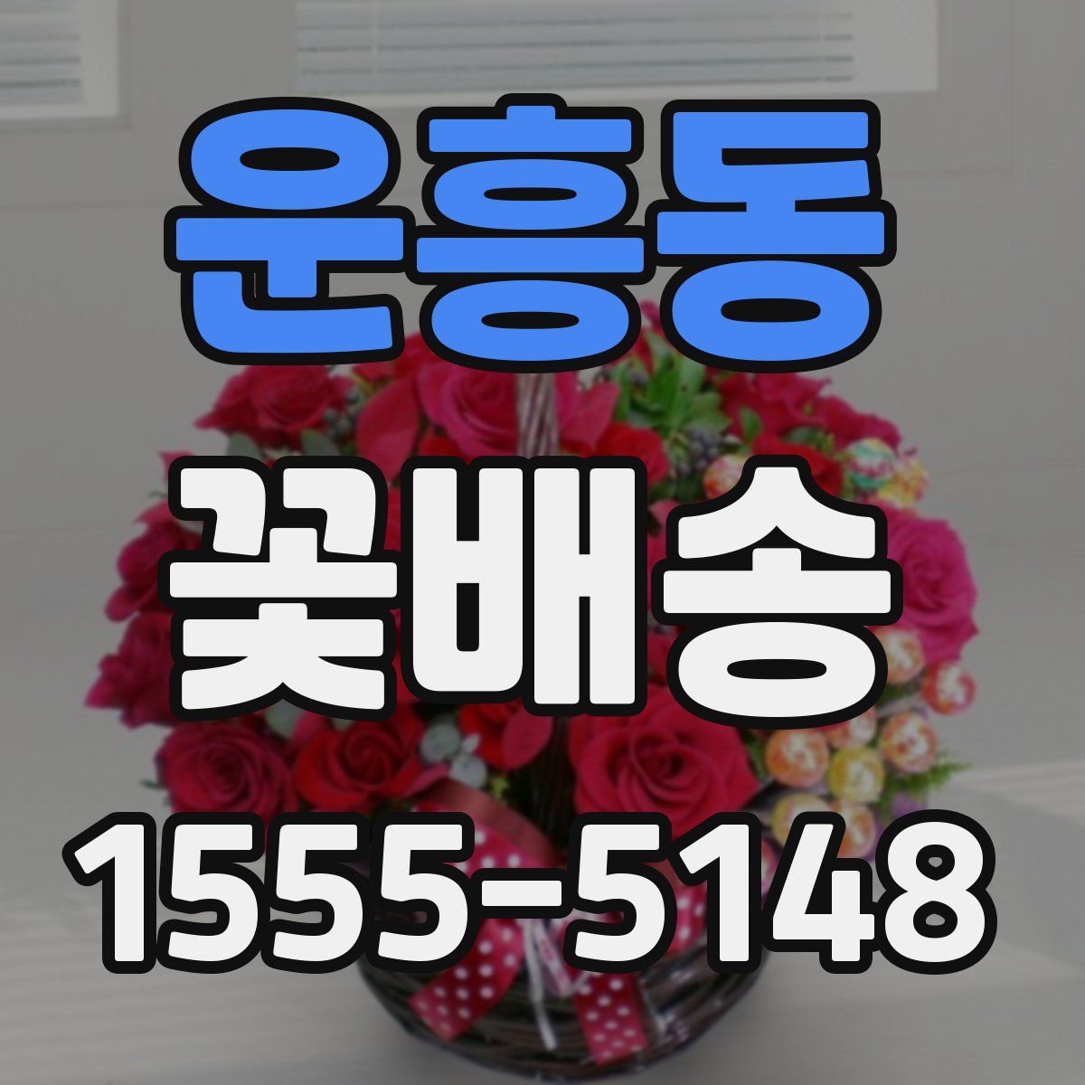 운흥동 꽃배송