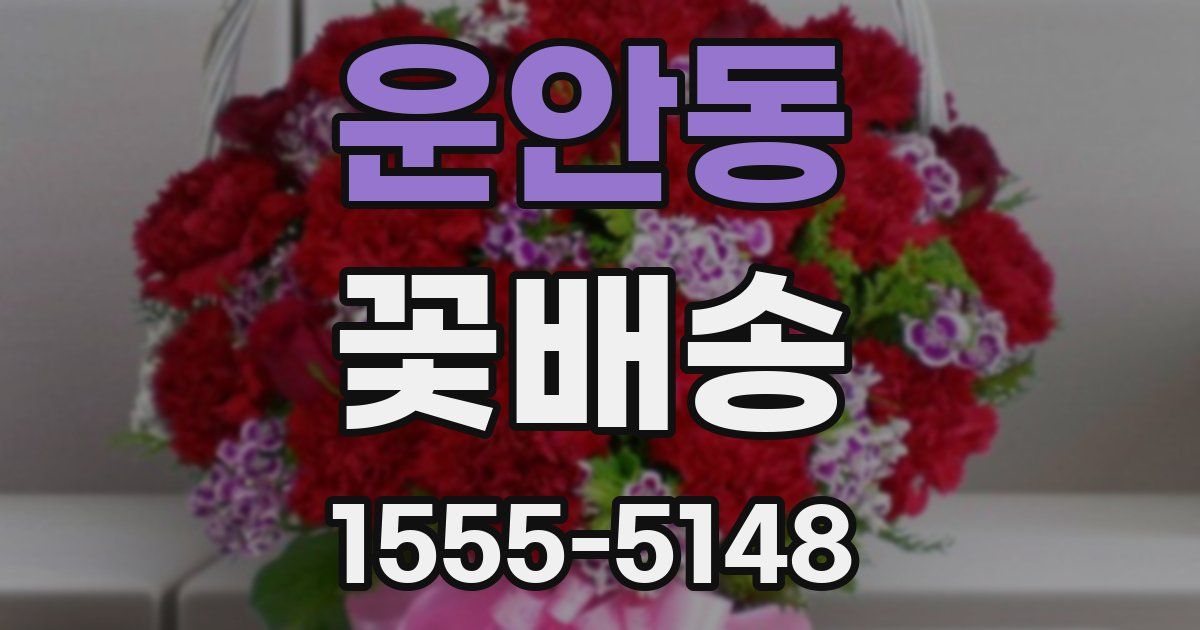 운안동 꽃배송