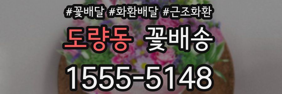도량동 꽃배송