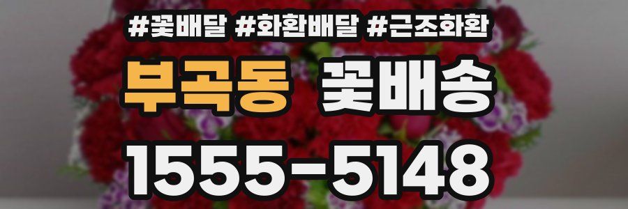 부곡동 꽃배송