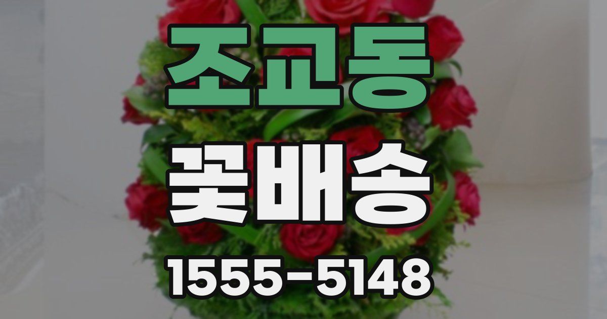 조교동 꽃배송
