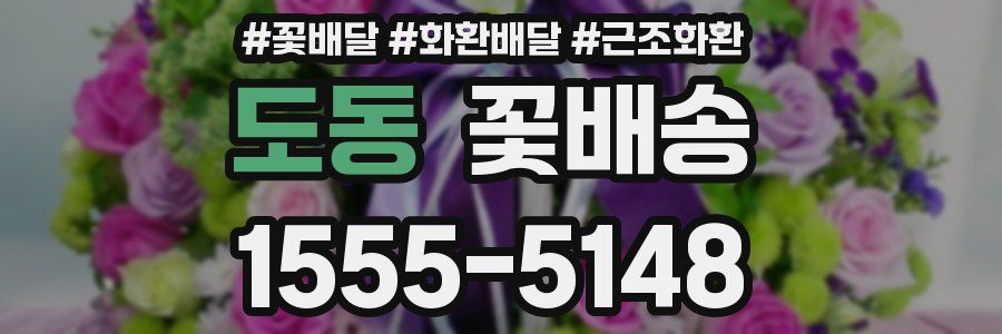 도동 꽃배송