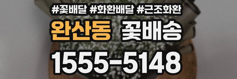 완산동 꽃배송