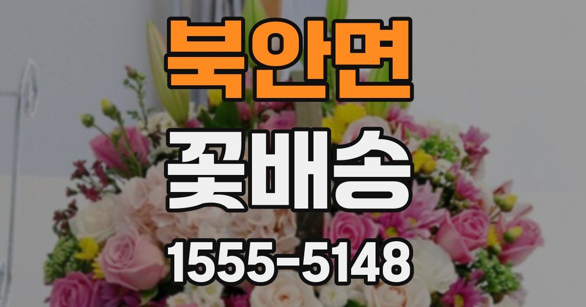 북안면 꽃배송