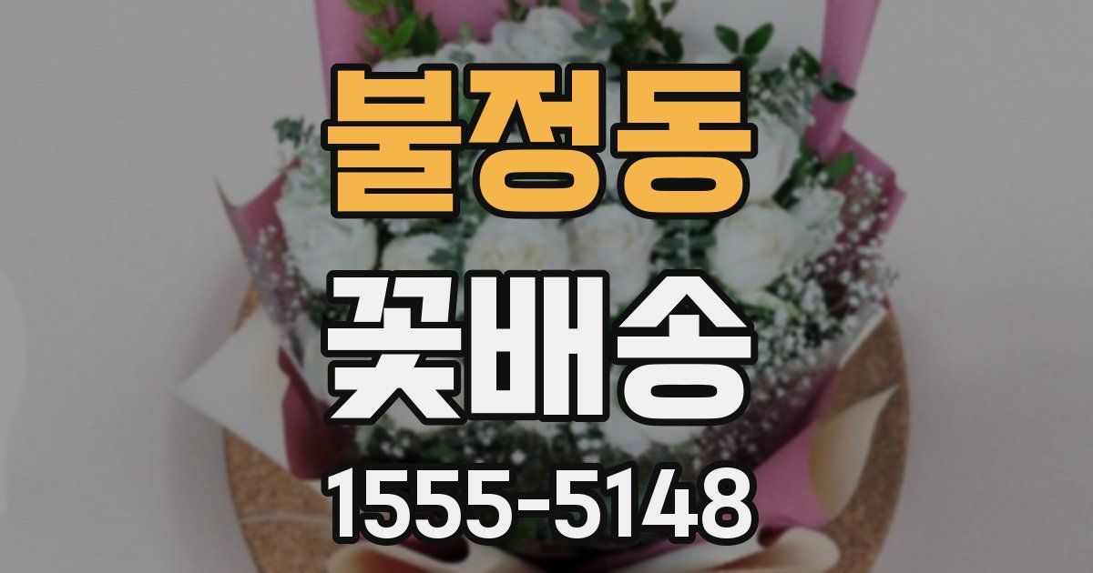 불정동 꽃배송